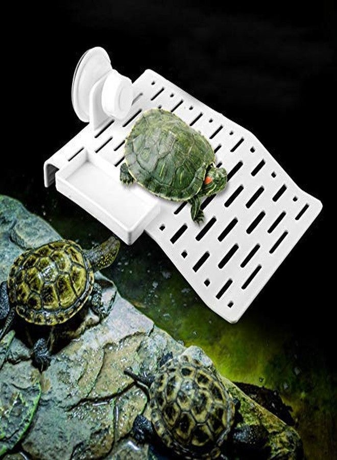 Sage Square Platform Cum Basking Ramp (with Food Bowl) for Aquarium Decor with Suction Cup for Turtle/Reptile/Aquarium/Small Amphibians (Small Size) - Image 2